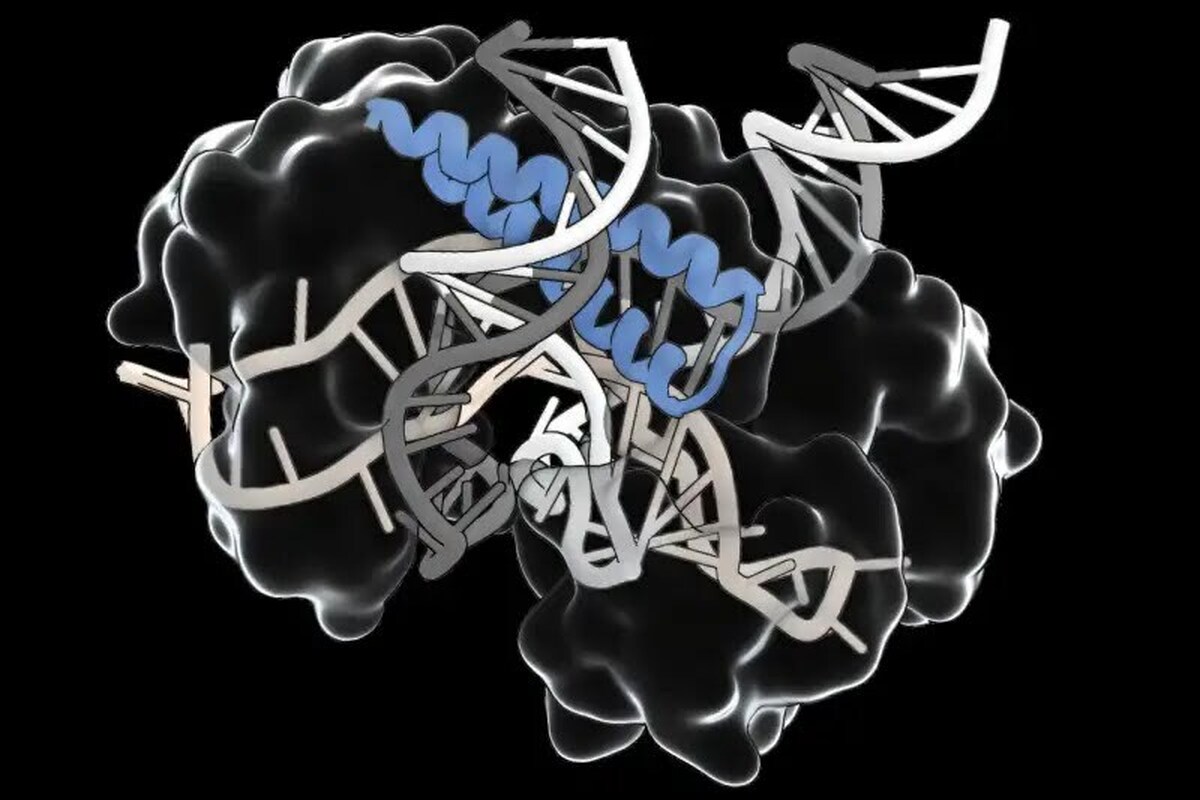 کشف شگفت‌انگیز یک سیستم RNA قدیمی که آینده ویرایش ژن را دگرگون می‌کند!