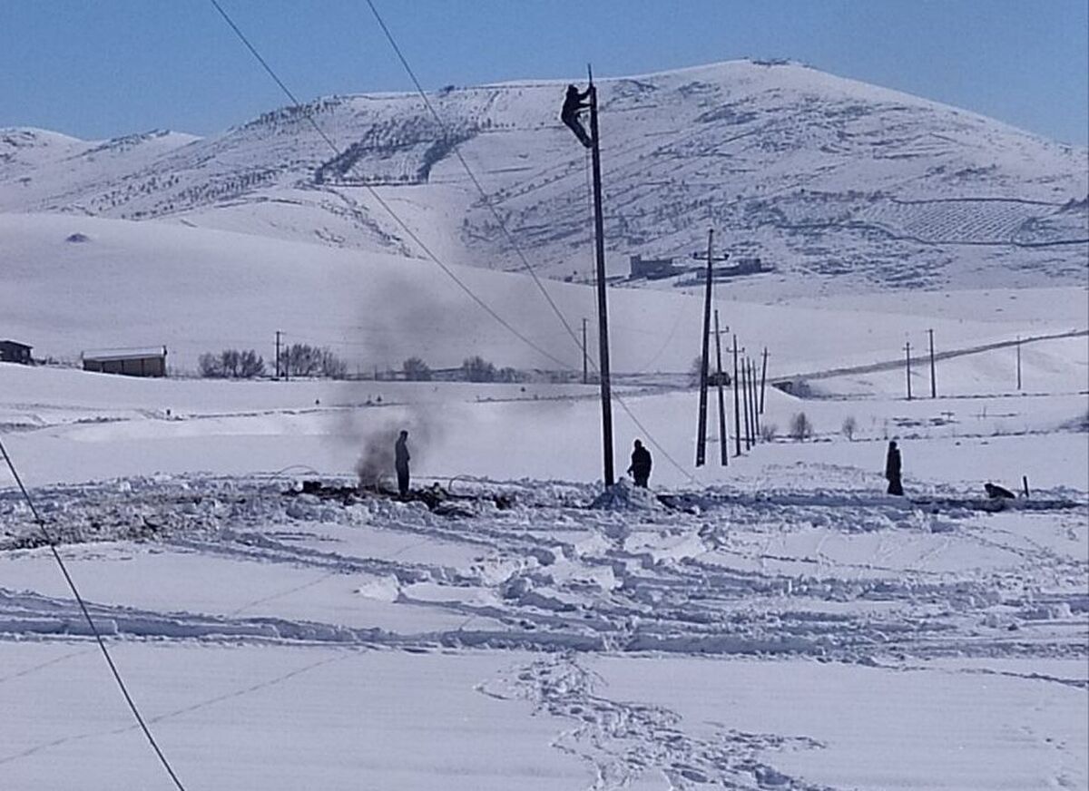 تلاش بی وقفه سیمبانان کردستانی