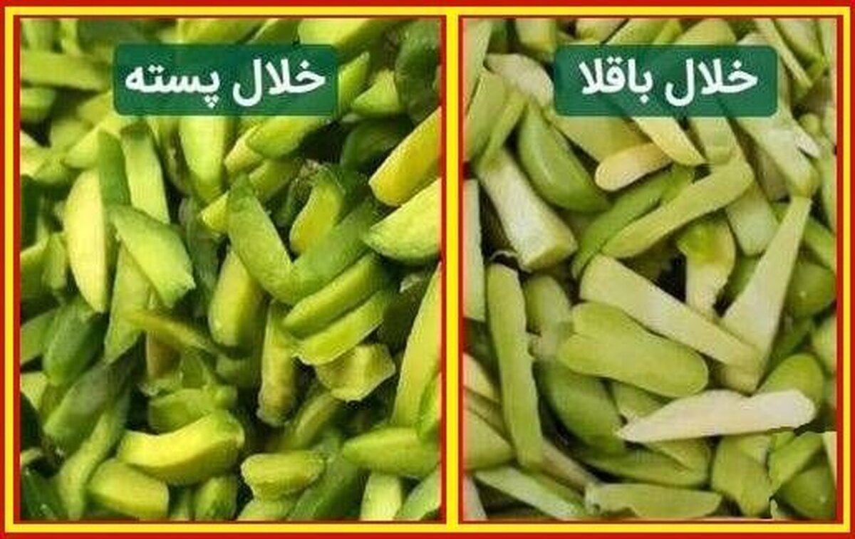 خلال باقلا را بجای خلال پسته نخرید!