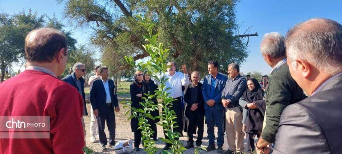 پایگاه میراث‌فرهنگی جندی‌شاپور به استقبال نوروز رفت