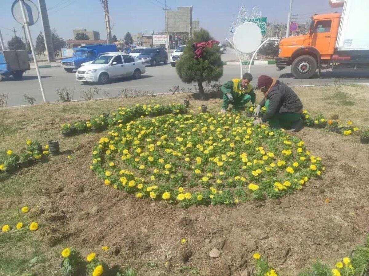 ۶۰ هزار بوته گل فصلی در استقبال از بهار در آبیک کاشته می‌شود