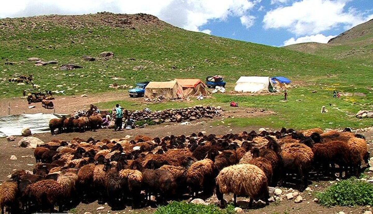 عشایر با برپایی ۱۰۱۵ سیاه چادر از مسافران نوروزی استقبال می‌کنند