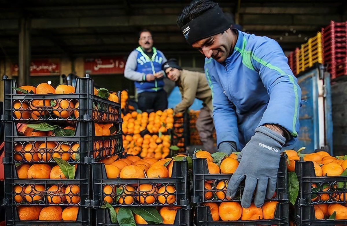 توزیع میوه شب عید در ۲۴ غرفه در شهرستان بویراحمد