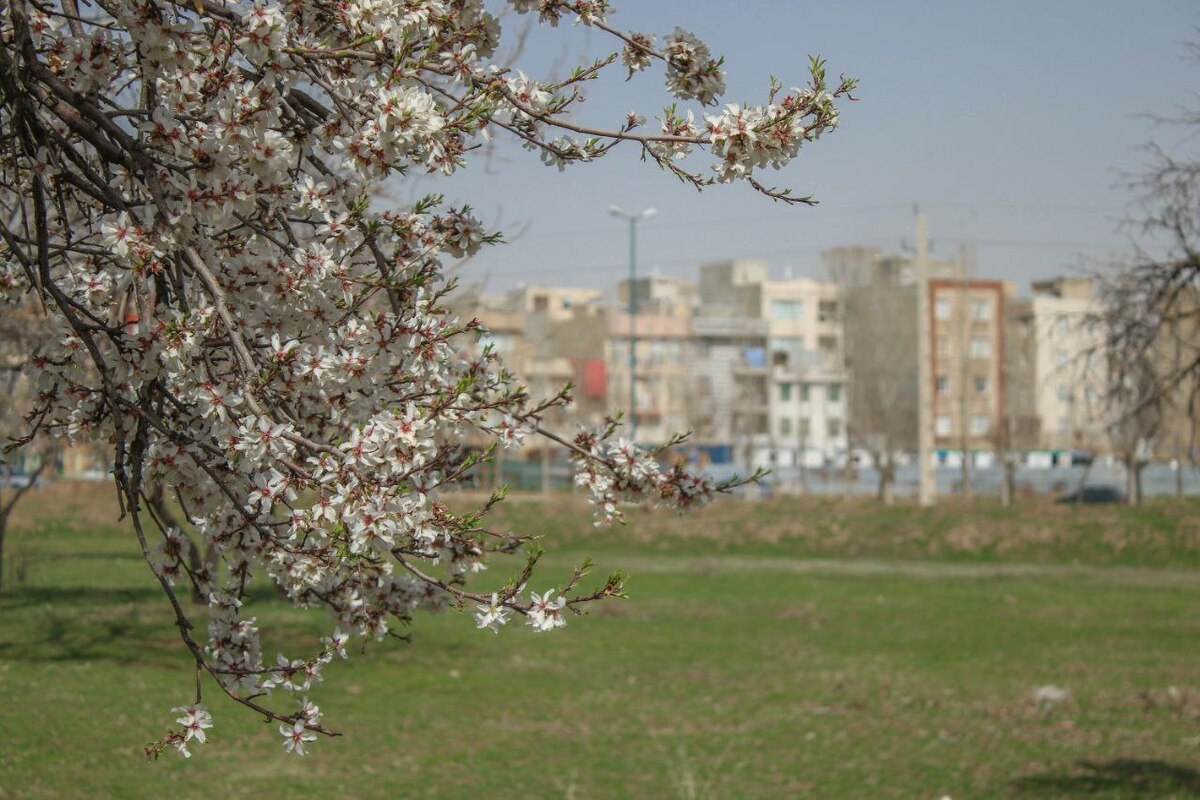 باران مهمان بهاری قزوین