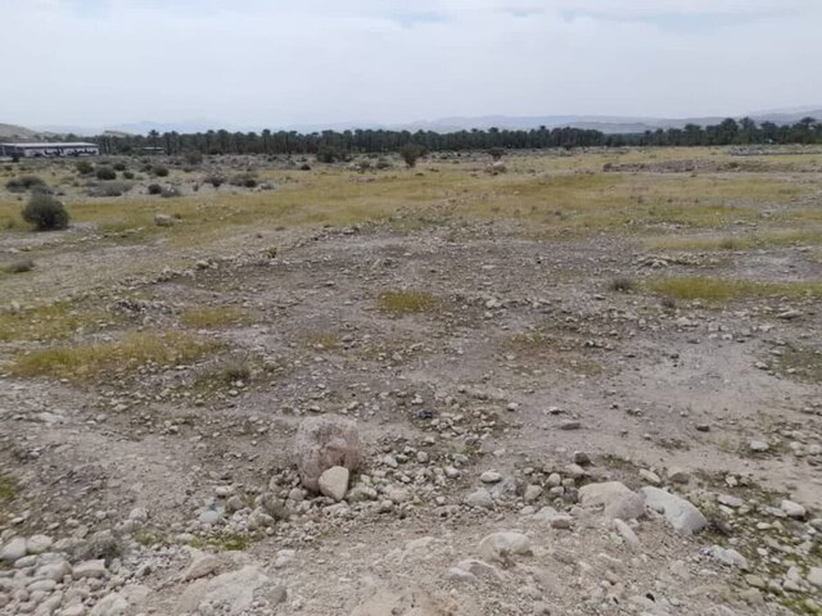 مرادی:  بیش از ۲۰ هکتار از اراضی ملی حومه شهرستان قیروکارزین آزاد شد