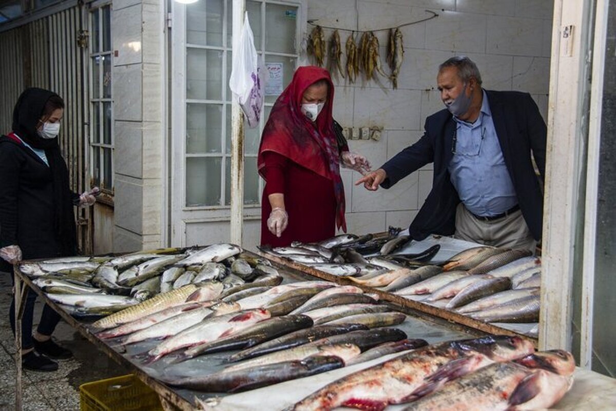 قرارگیری ایران در لیست A صادرکنندگان محصولات شیلاتی