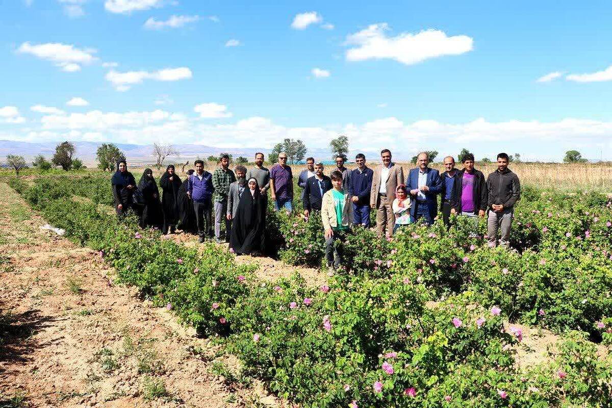 دومین جشنواره گل محمدی روستای خوزنین شهرستان بوئین زهرا