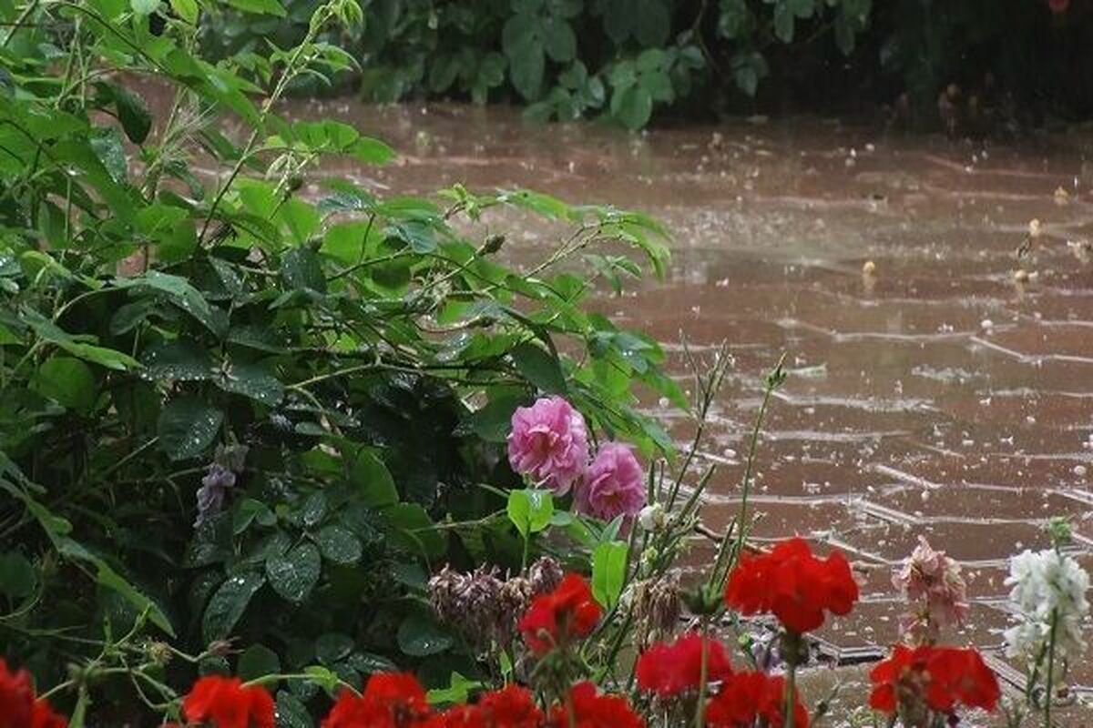 رگبار و رعدوبرق مناطق غربی کشور را در بر می‌گیرد