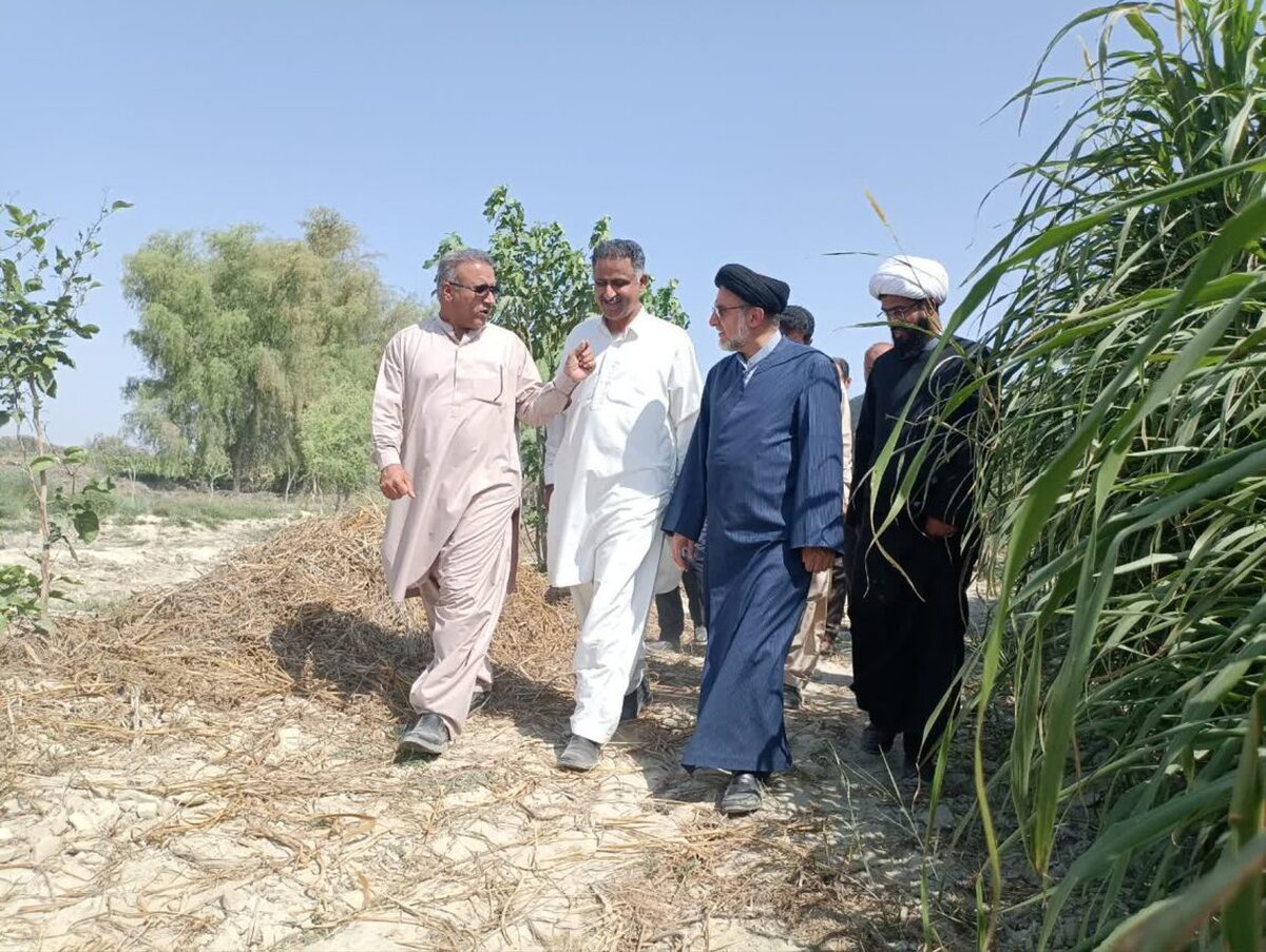 ورود سازمان اوقاف در حوزه کشاورزی و باغداری با مشارکت مردم