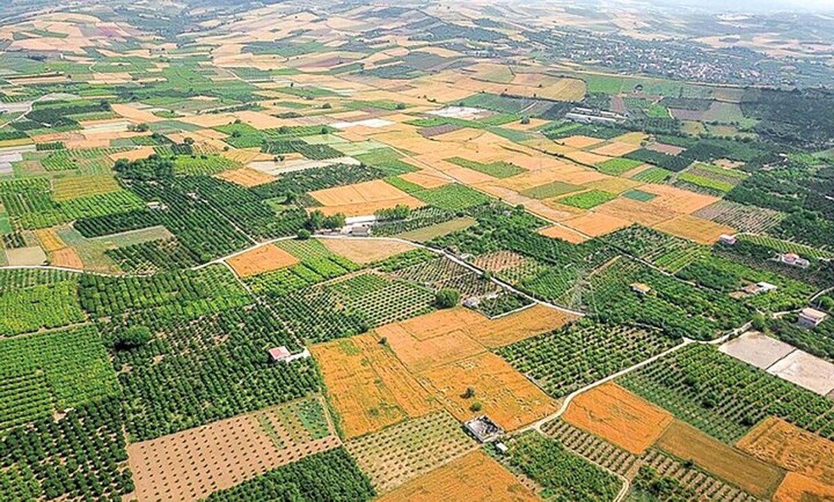 رشد ۵۸ درصدی جلوگیری از تغییر کاربری غیرمجاز اراضی کشاورزی