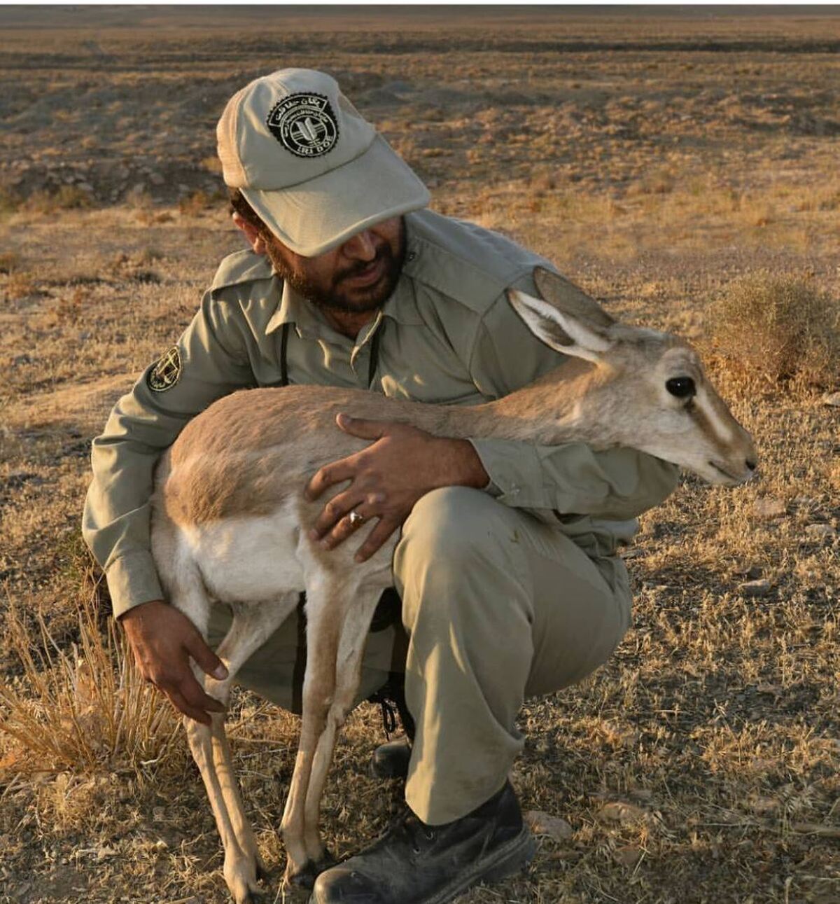 روز محیط بان ثبت رسمی شد