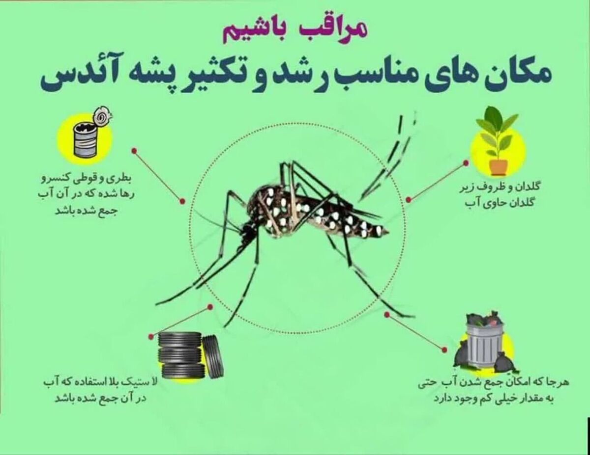 موردی از وجود پشه آئدس در یزد گزارش نشده اما باید آماده هر احتمالی باشیم