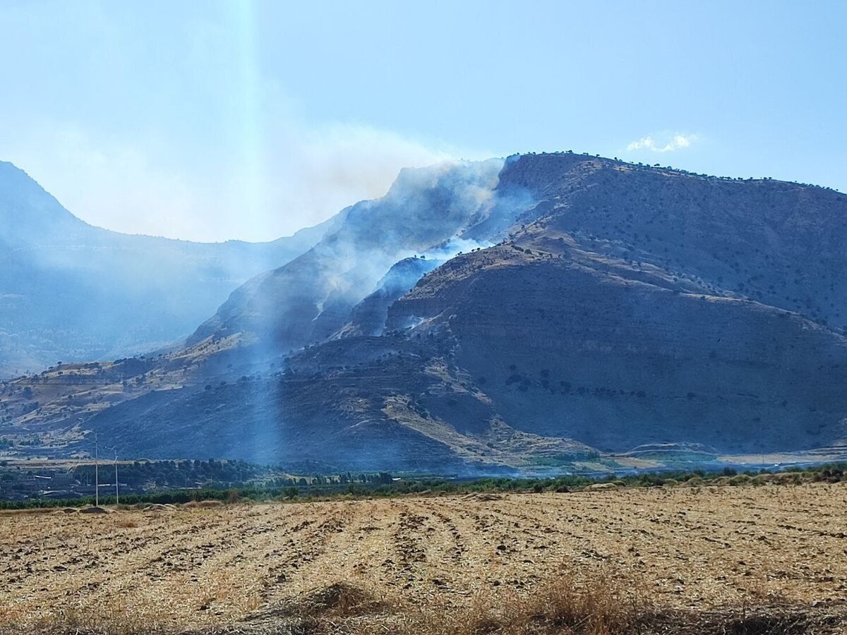 مهار بخشی از  آتش سوزی در جنگل ها و مراتع پلدختر