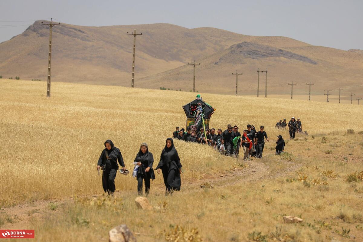 آیین  سنتی نخل‌گردانی در روستای ساکی علیا