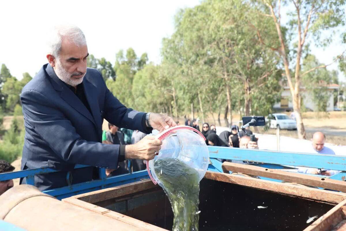 مراسم آزاد سازی هفت میلیون قطعه بچه ماهی در دریای مازندران