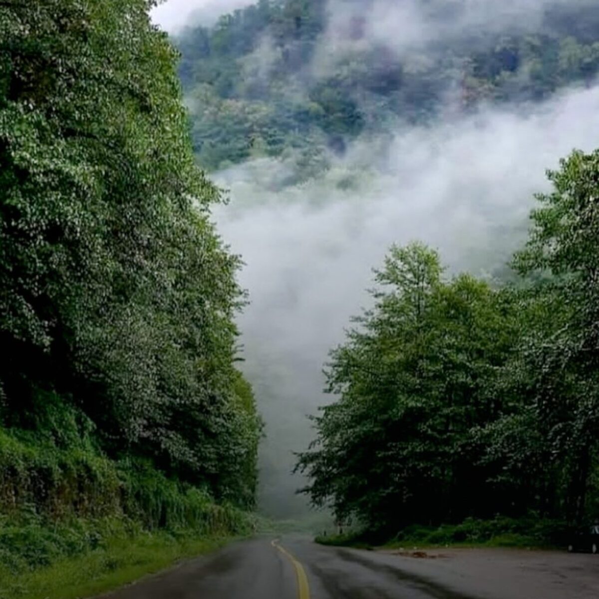 خنک ترین جاهای دیدنی گیلان در تابستان