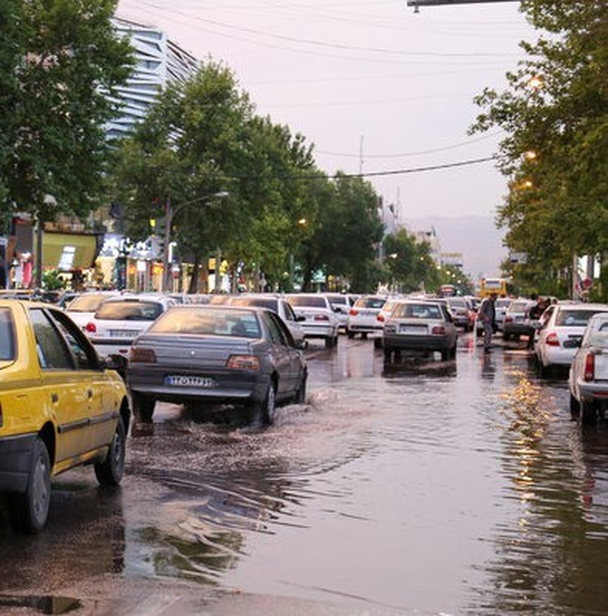 ۷۰ درصد از بارش سال جاری در تهران رقم خورد