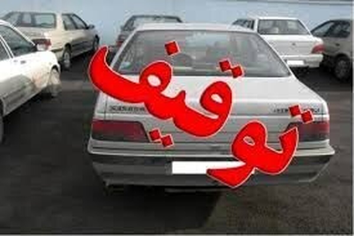 توقيف ۲۷ خودرو متخلف در سلسله