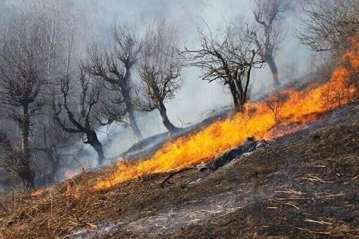 قتل و درگیری عامل آتش‌سوزی گسترده جنگلهای گوشه شهنشاه خرم آباد