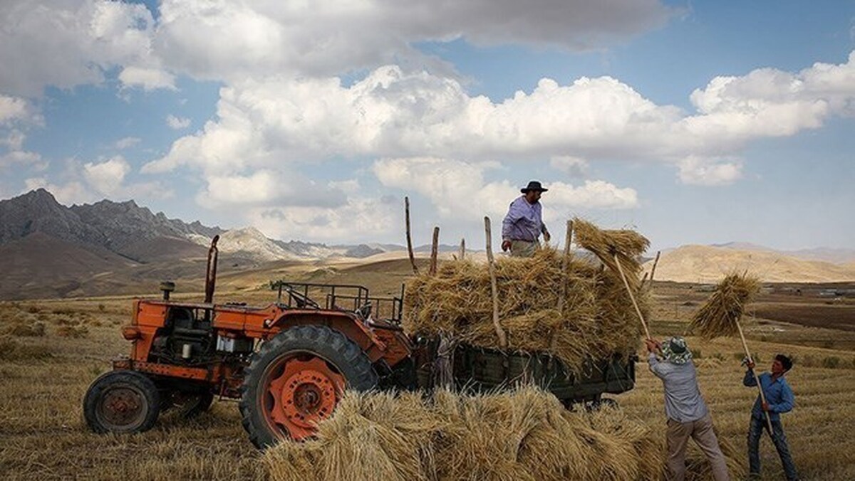 امکان اخذ مالیات از فعالیت‎های کشاورزی در ایران وجود ندارد