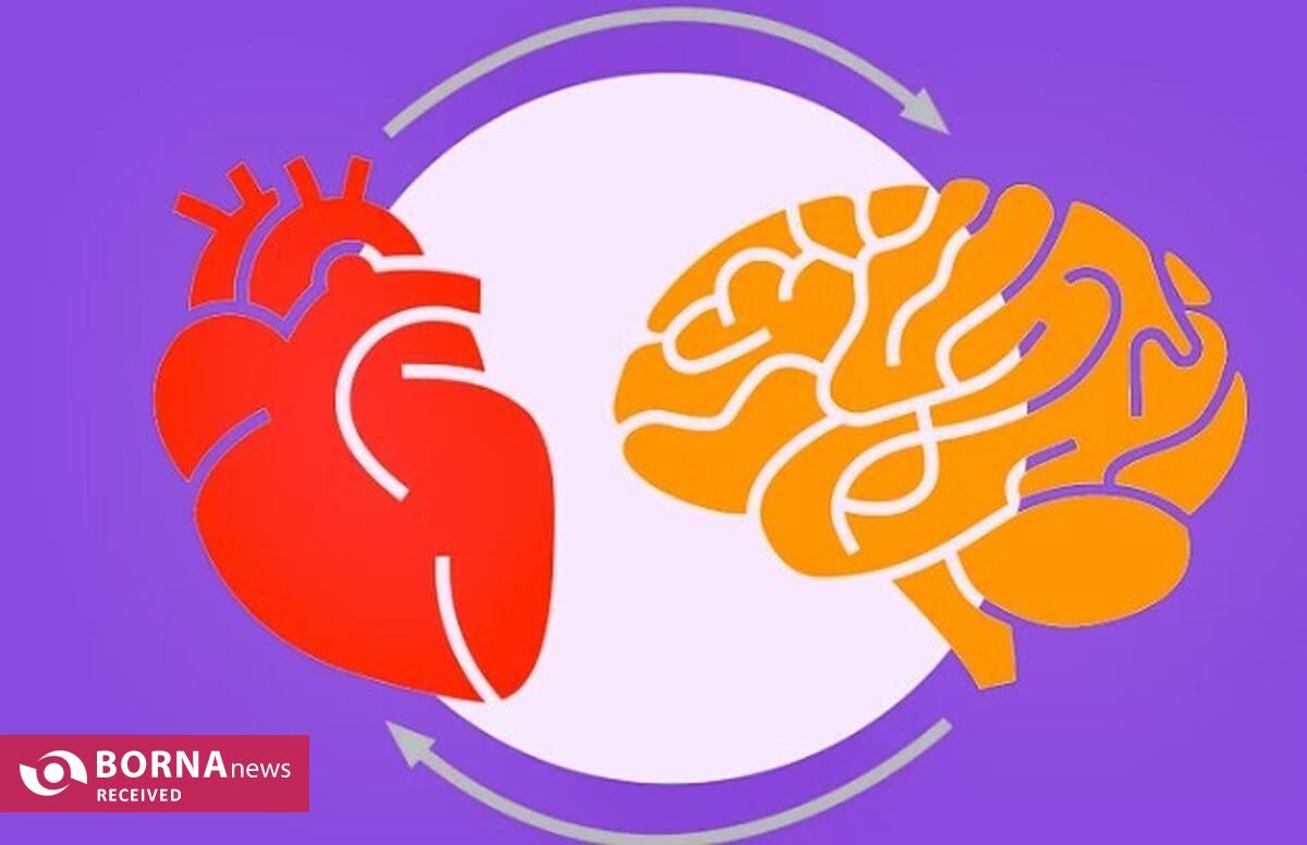 ارتباط ژنتیکی آلزایمر و بیماری قلبی کشف شد