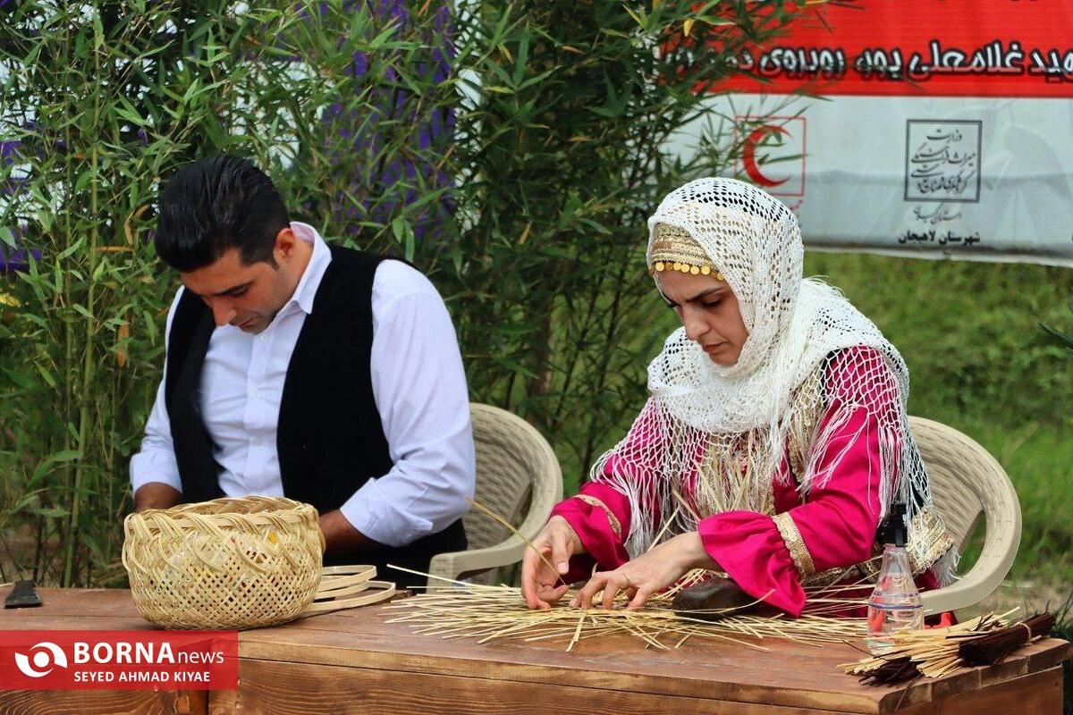 فرماندار لاهیجان: لیالستان مرکز بامبو ایران است