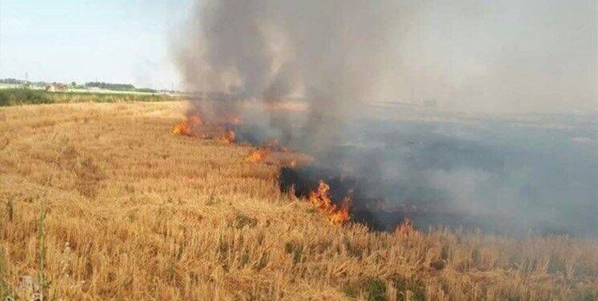 معرفی بیش از ۵٠٠ نفر متخلف محیط زیستی به مراجع قضایی در لرستان