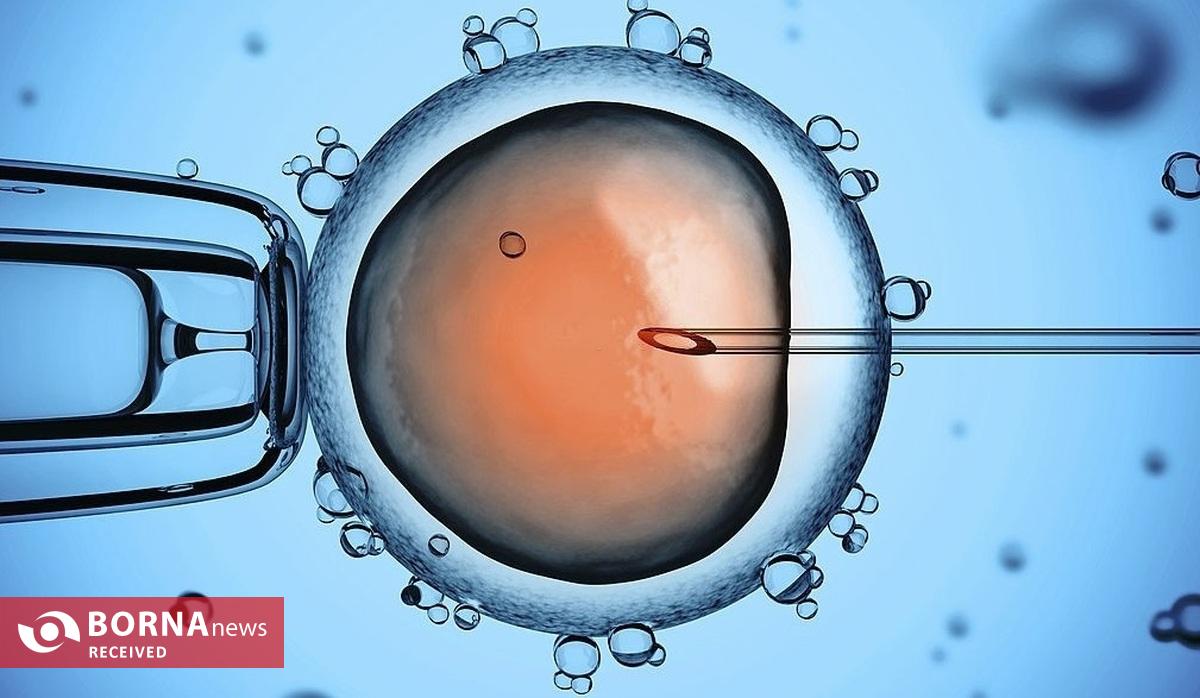 انقلابی در درمان ناباروری مردان/ تراشه ایرانی جایگزین روش‌های قدیمی ناباروری شد