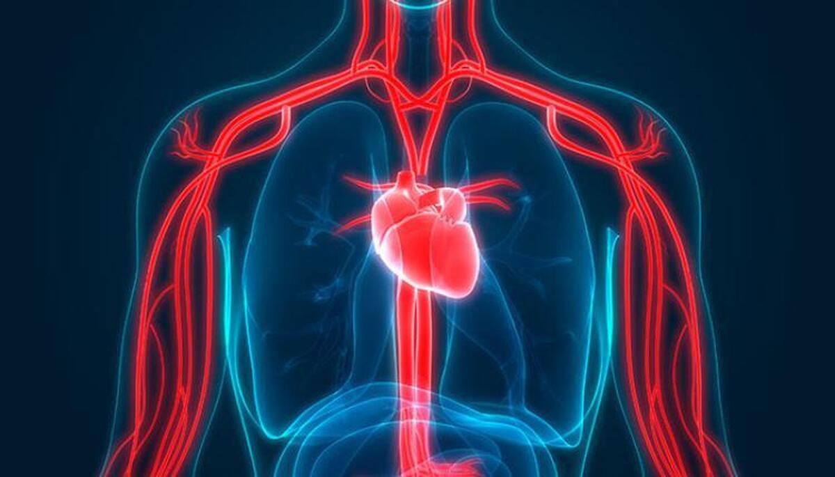 انقلاب علمی در درمان بیماری‌های قلبی با سلول‌های پیش‌ساز قلبی!