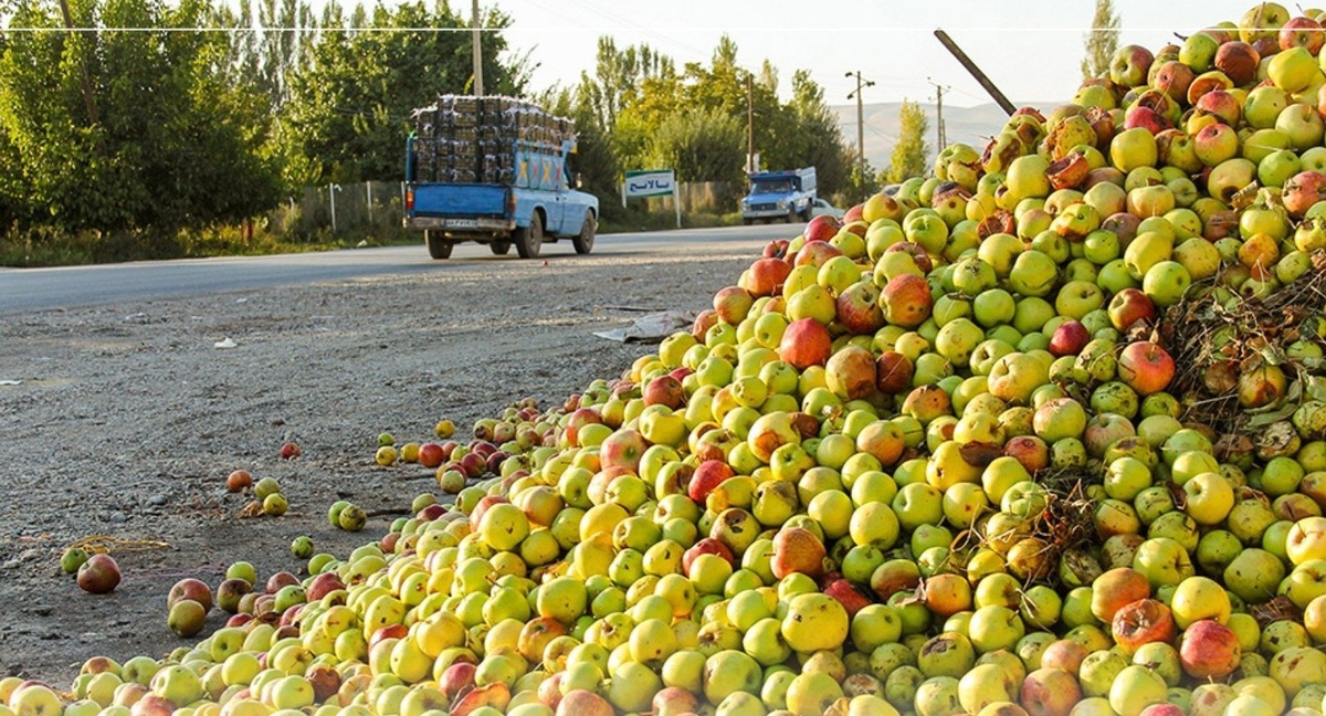 استمرار بازرسی گشت روزانه برای برخورد با متخلفان انباشت سیب در جاده‌های آذربایجان‌غربی