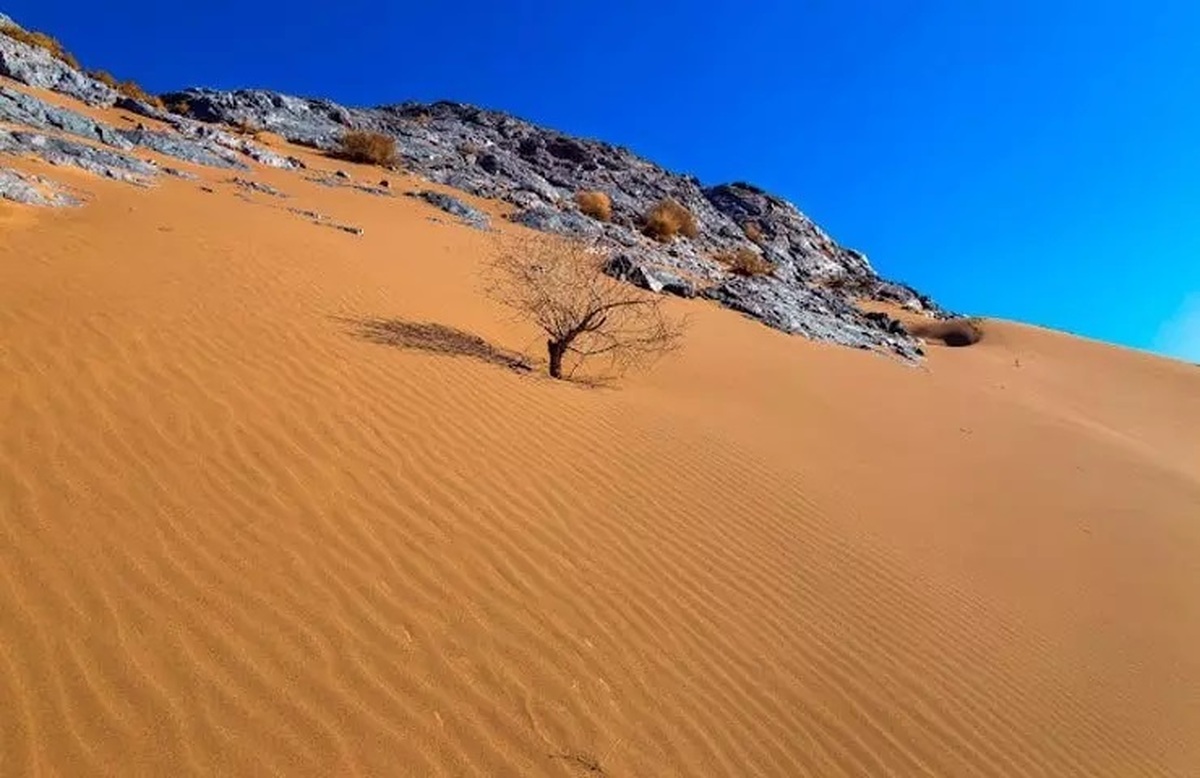 پیدایش فرد مفقودی در کویر پلوند فردوس