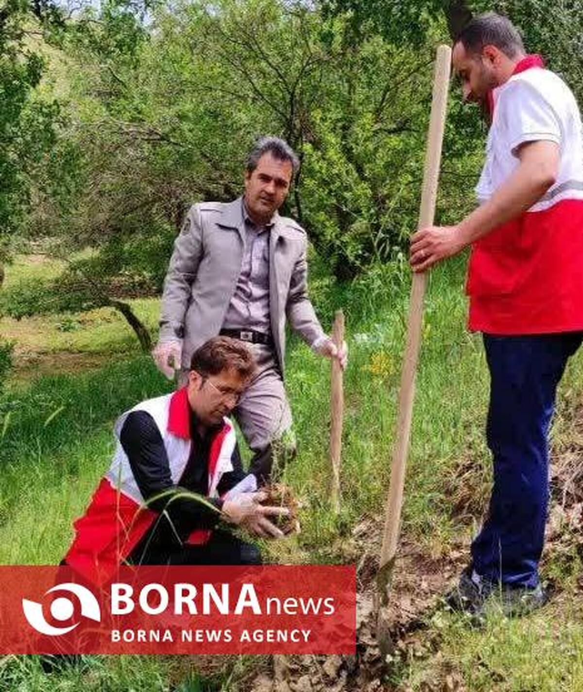 کاشت ۱۰۰ نهال به یاد محیط‌بان شهید و قربانیان اسکله شهید رجایی در پاوه