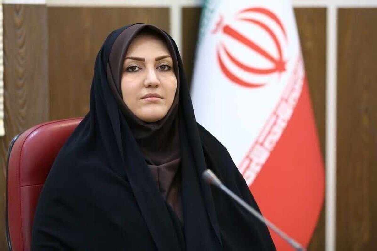 راه‌اندازی ۶ کمیته تخصصی برای تقویت فعالیت سمن‌ها در قزوین