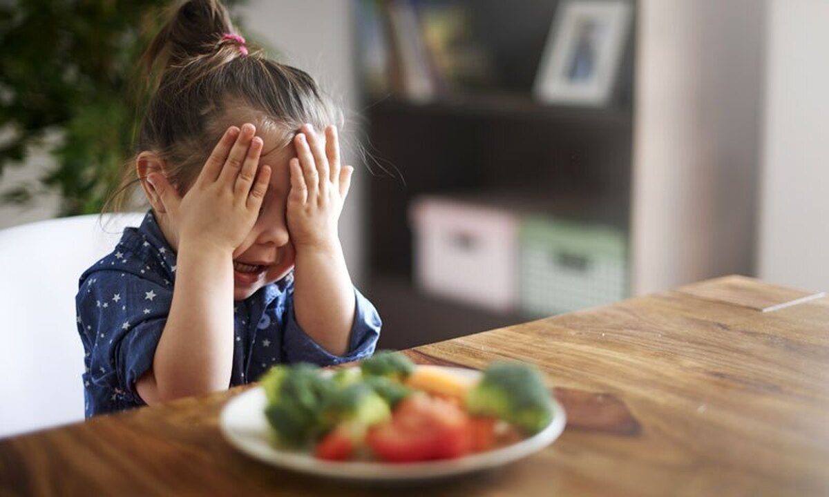 10 روش برای متقاعد کردن کودکان که بر تربیت انها نیز تاثیر مثبت میگذارد